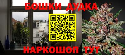 прущие крисы Будённовск