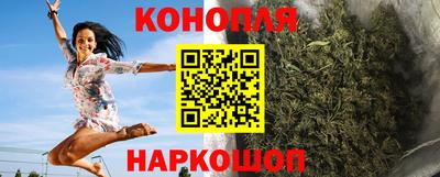 прущие крисы Будённовск