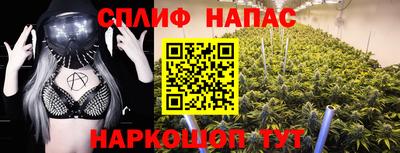 прущие крисы Будённовск