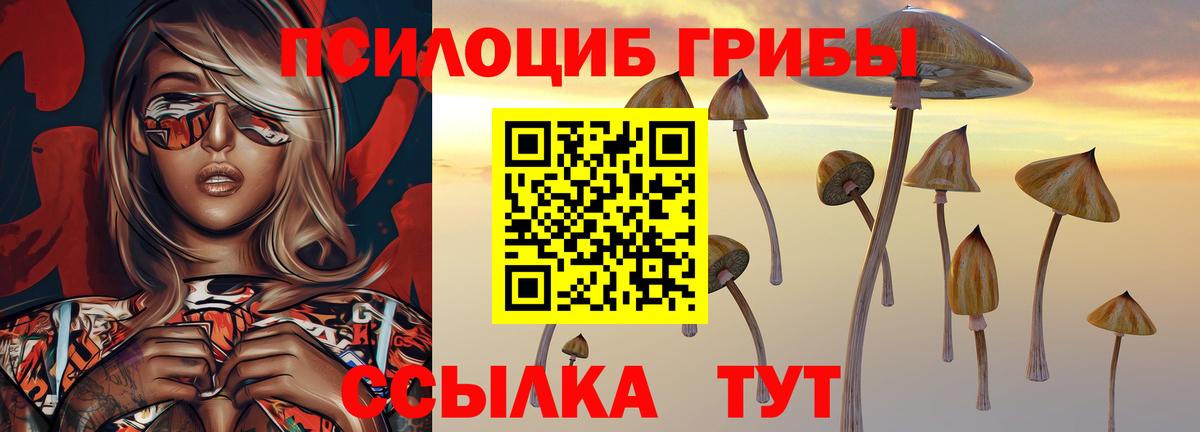 Псилоцибиновые грибы мицелий Смоленск